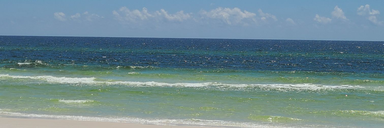 Rachel_Lib19's profile banner image