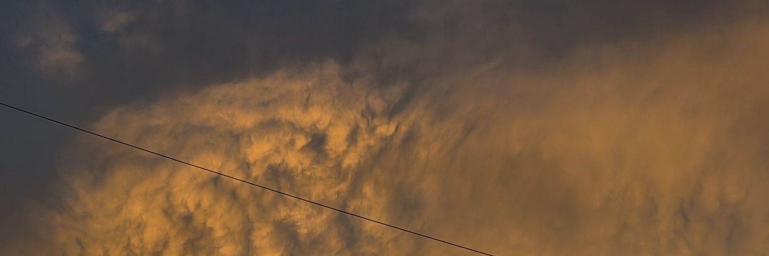 catnikobann's profile banner image