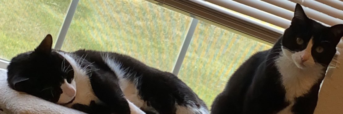 ChristaAmber's profile banner image