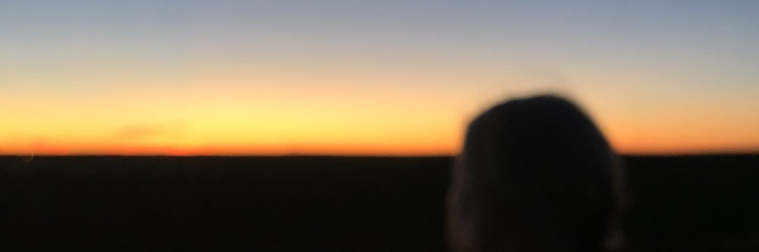 RileyHansen23's profile banner image