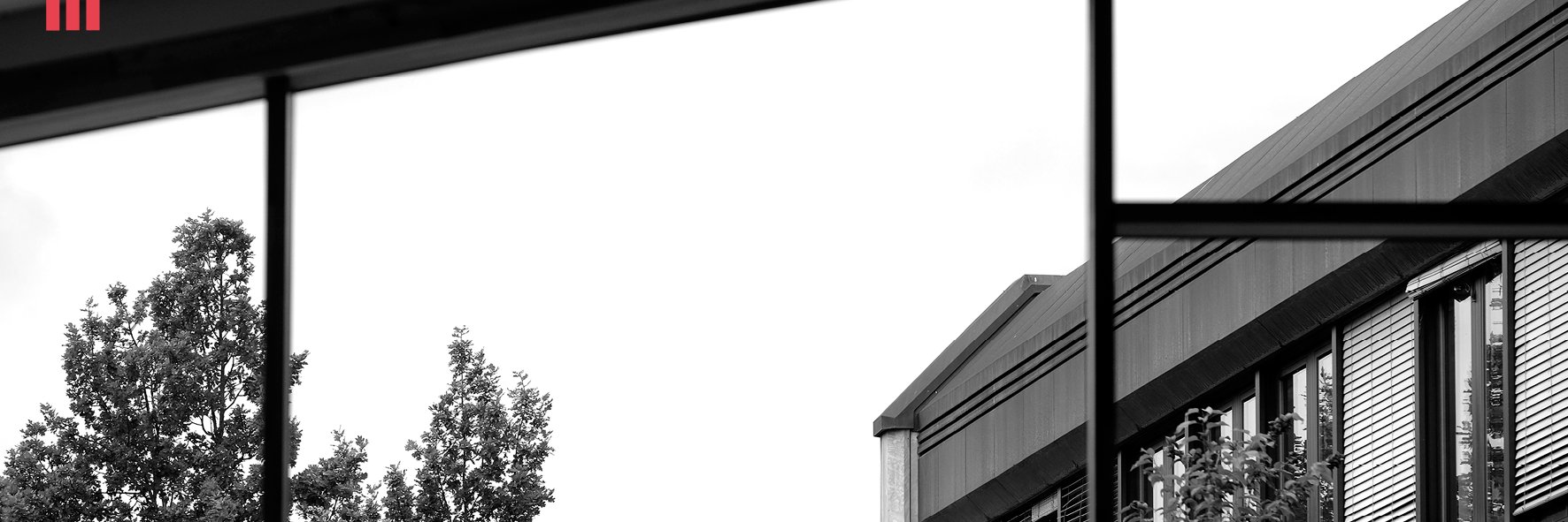 BambergSocialScience banner