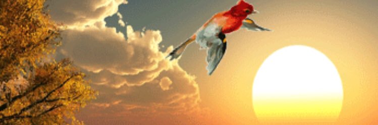 d4442708046's profile banner image