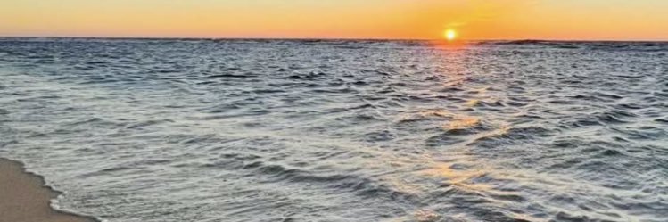 tmauza14's profile banner image