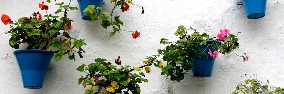 SarahBPower's profile banner image