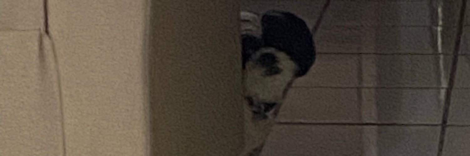 GABaez98's profile banner image