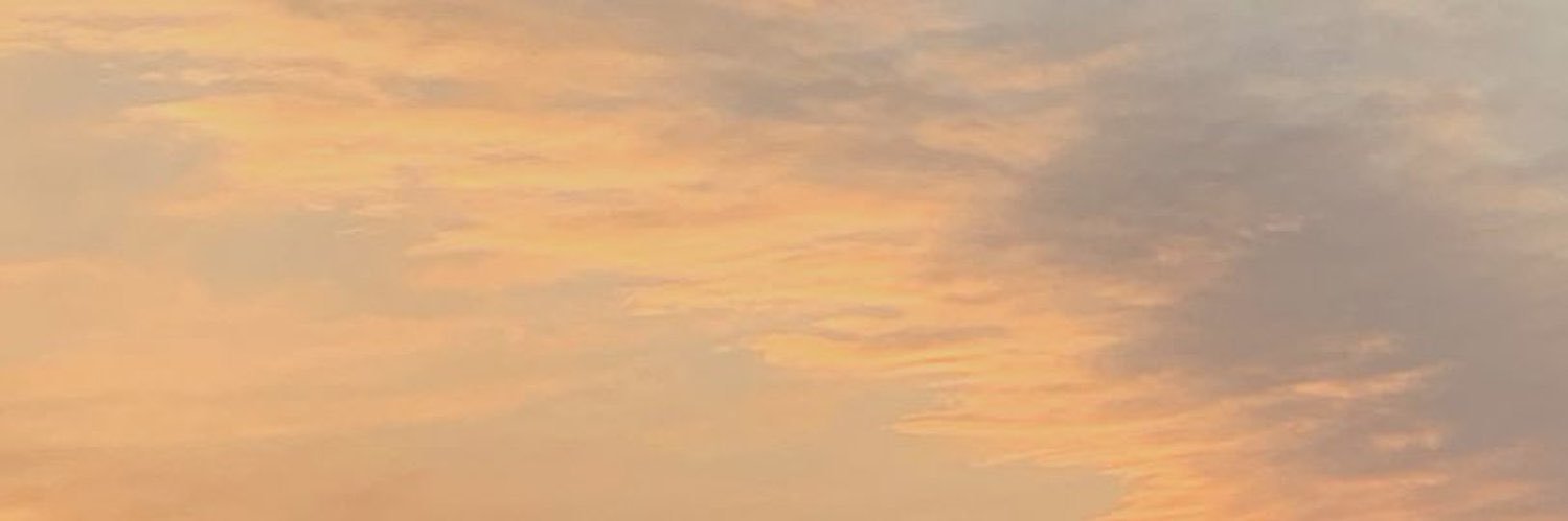 pige 🪶's banner