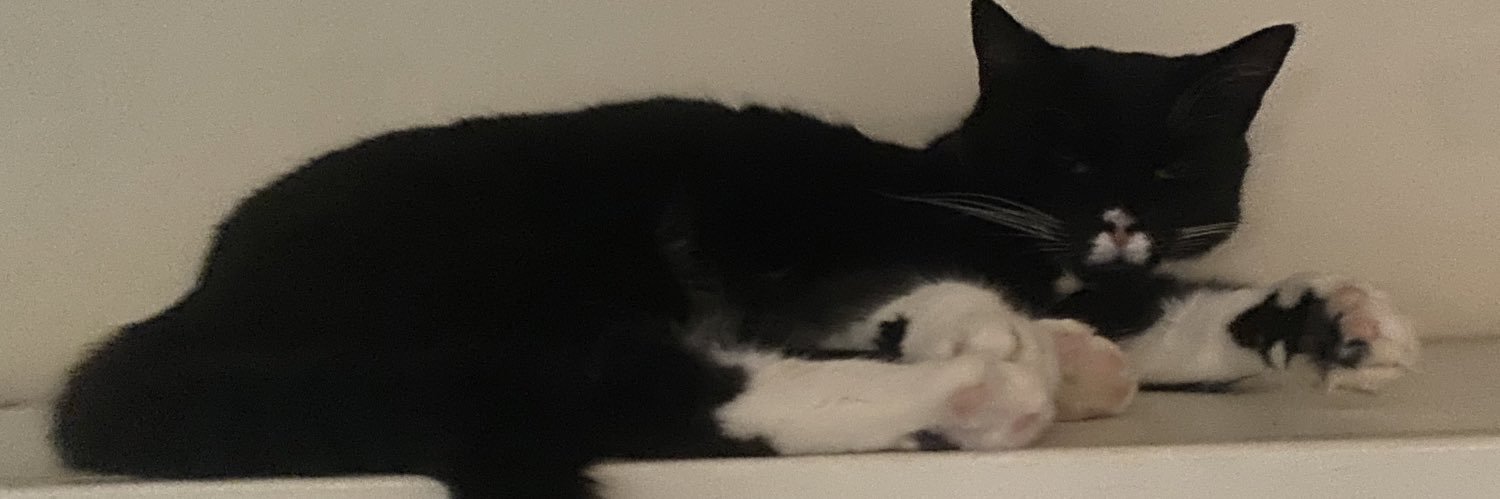 VampireCountingMoneyUp banner