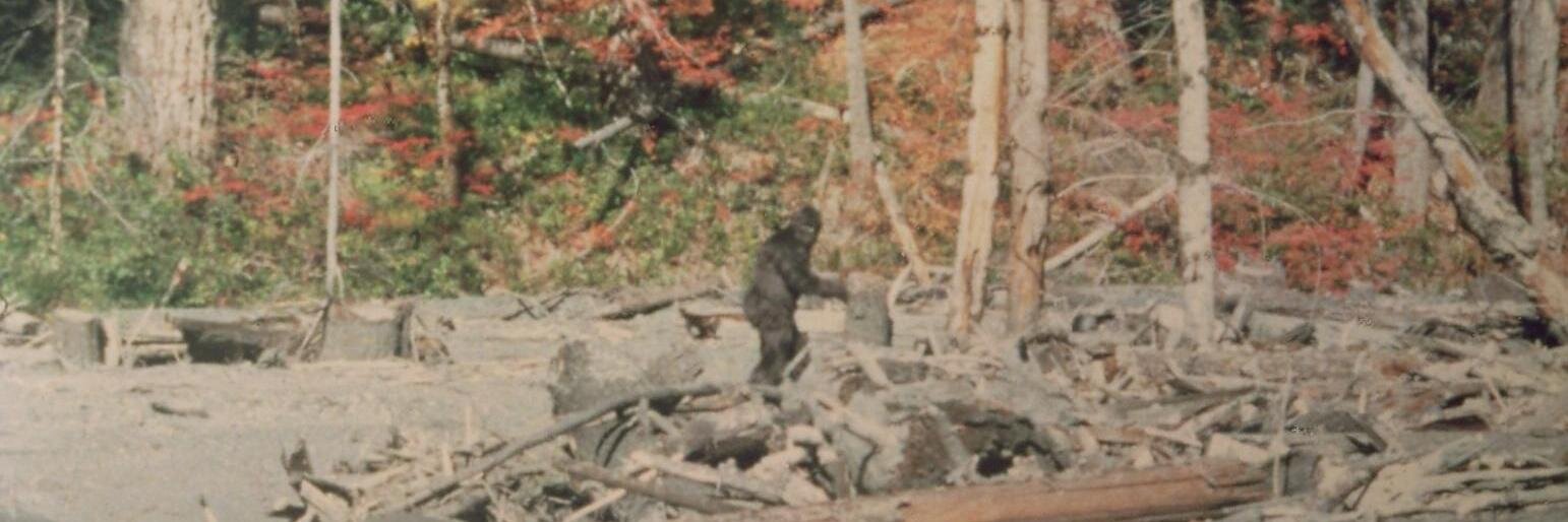 MikeWeihs's profile banner image