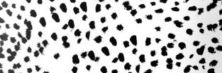 Sarahjcohen's profile banner image