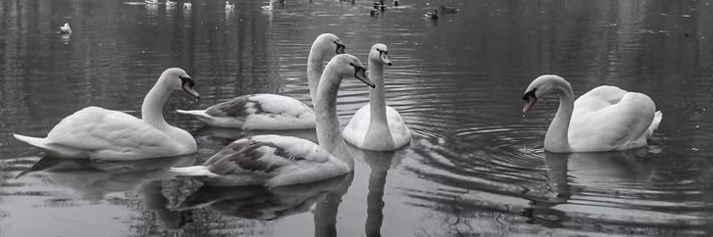 Key || Open Joki Tugas banner