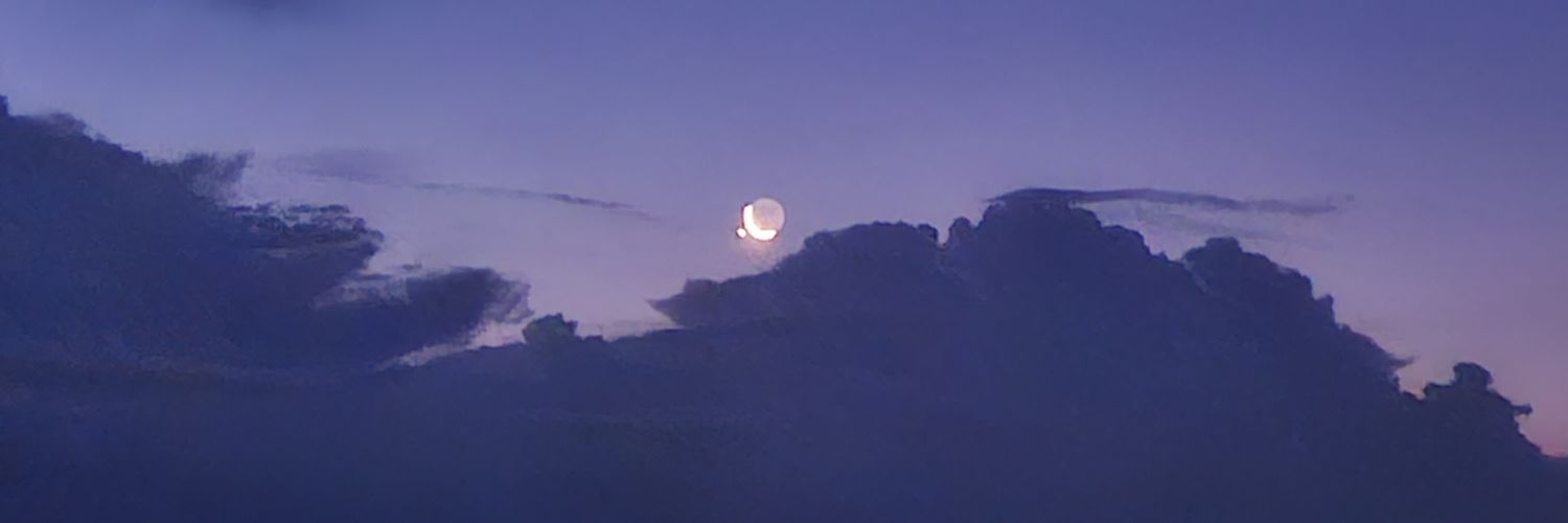 TheDillon13's profile banner image