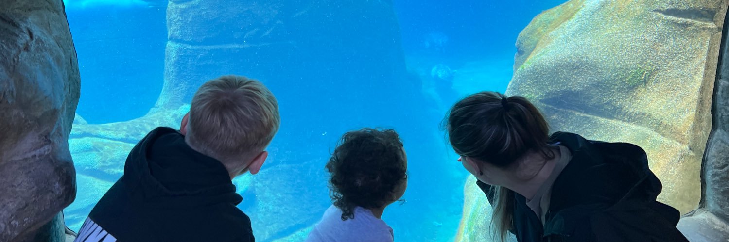 Ohdeewhy's profile banner image