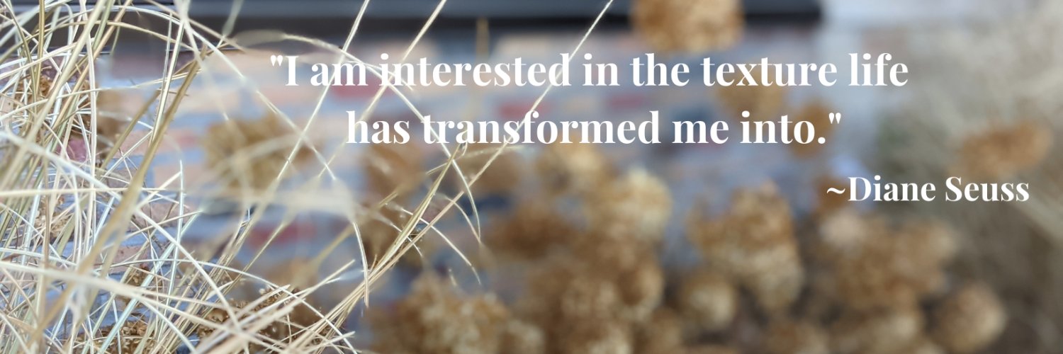 Lisa Allen (she/her/hers) banner