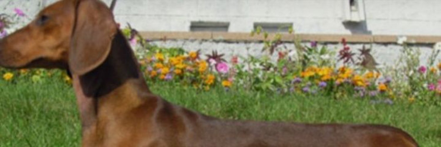 Keith Lard (KeithLard13) Twitter