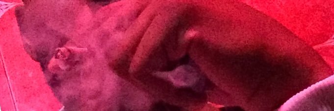 RealGhostATL's profile banner image