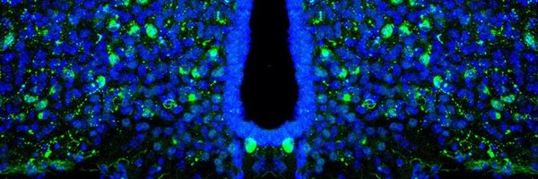 ClaretLab Profile Banner