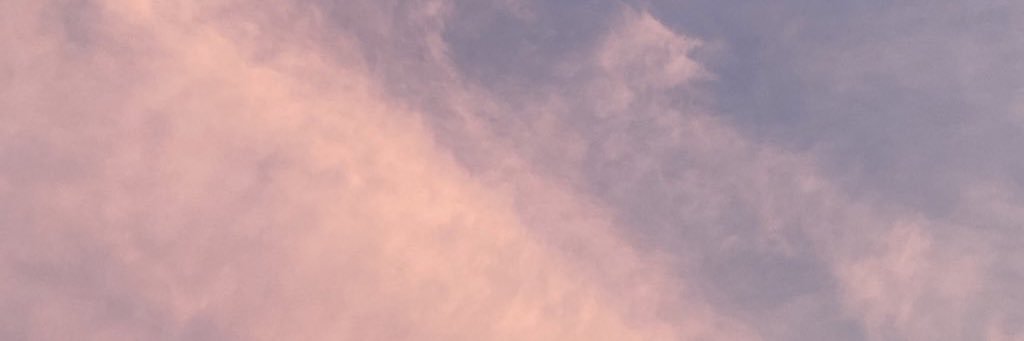 0720Flower's profile banner image