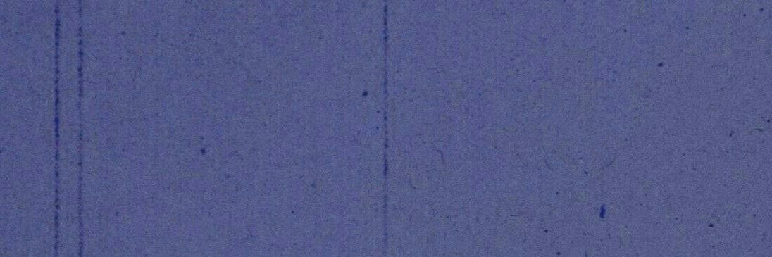 titimacani78's profile banner image