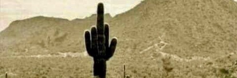 JD banner