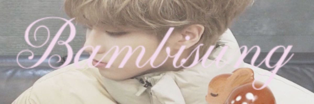 heenijn's profile banner image