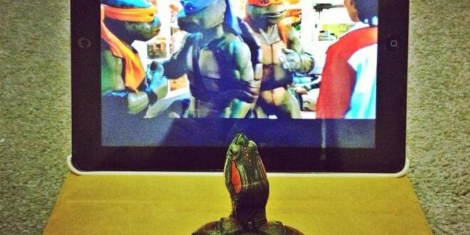 CrazyMonkeyJo 🙈 banner