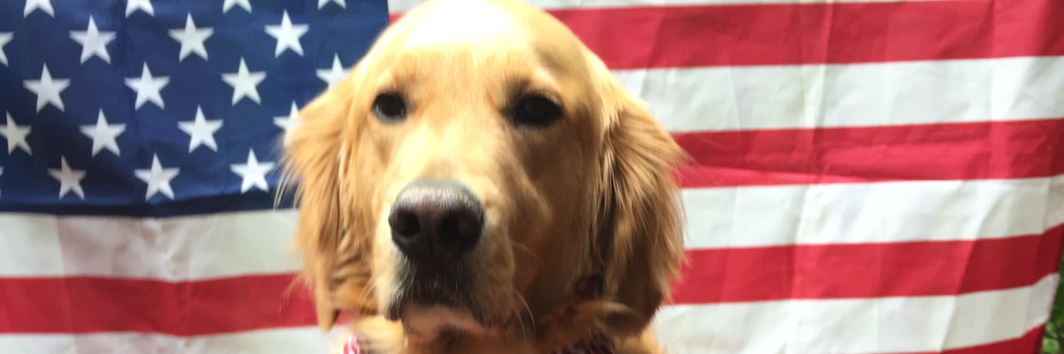 Golden Winston- Cooper (Glenn) banner