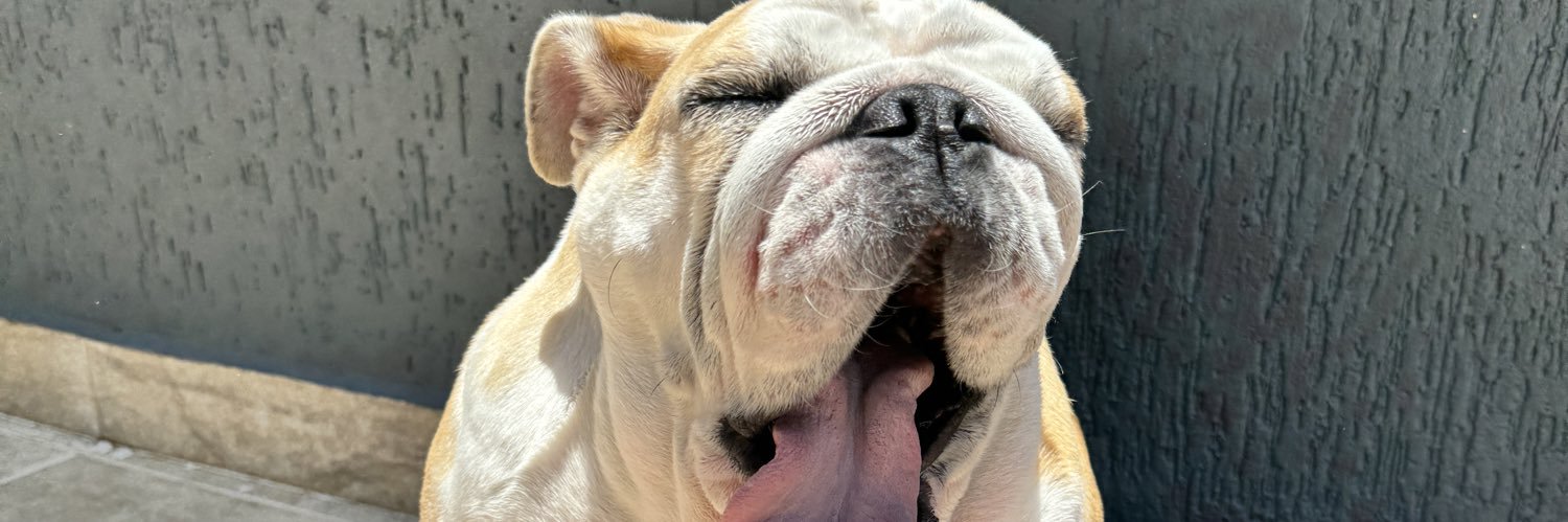 schoub_doo's profile banner image