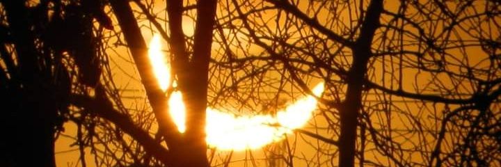 Agos_Azula's profile banner image