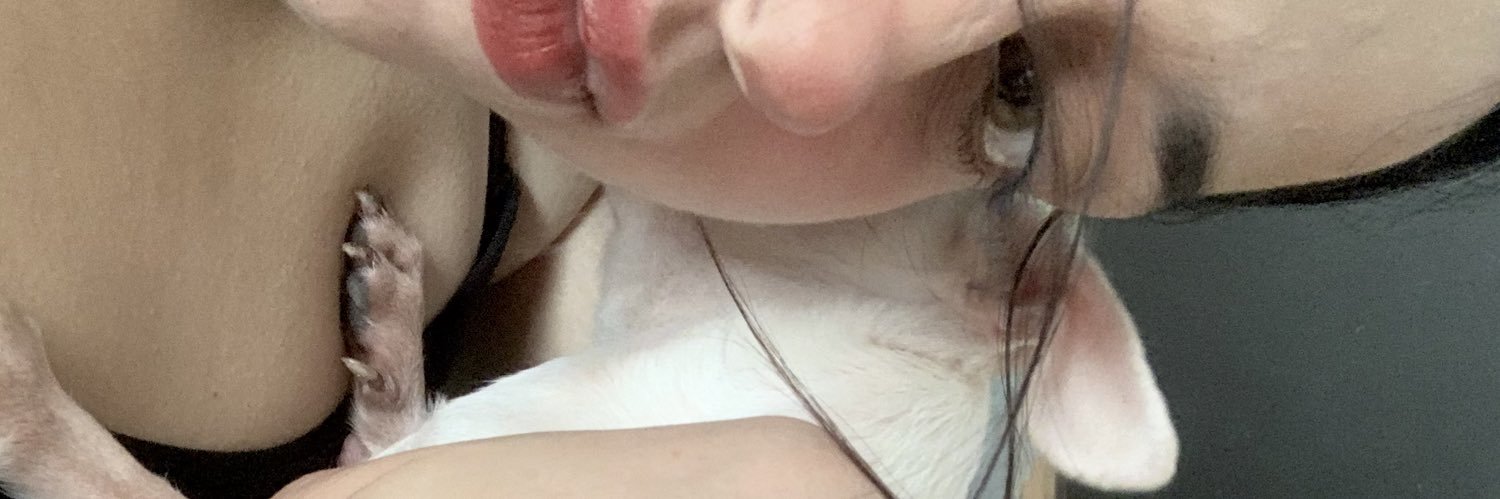 Roxx_SV's profile banner image