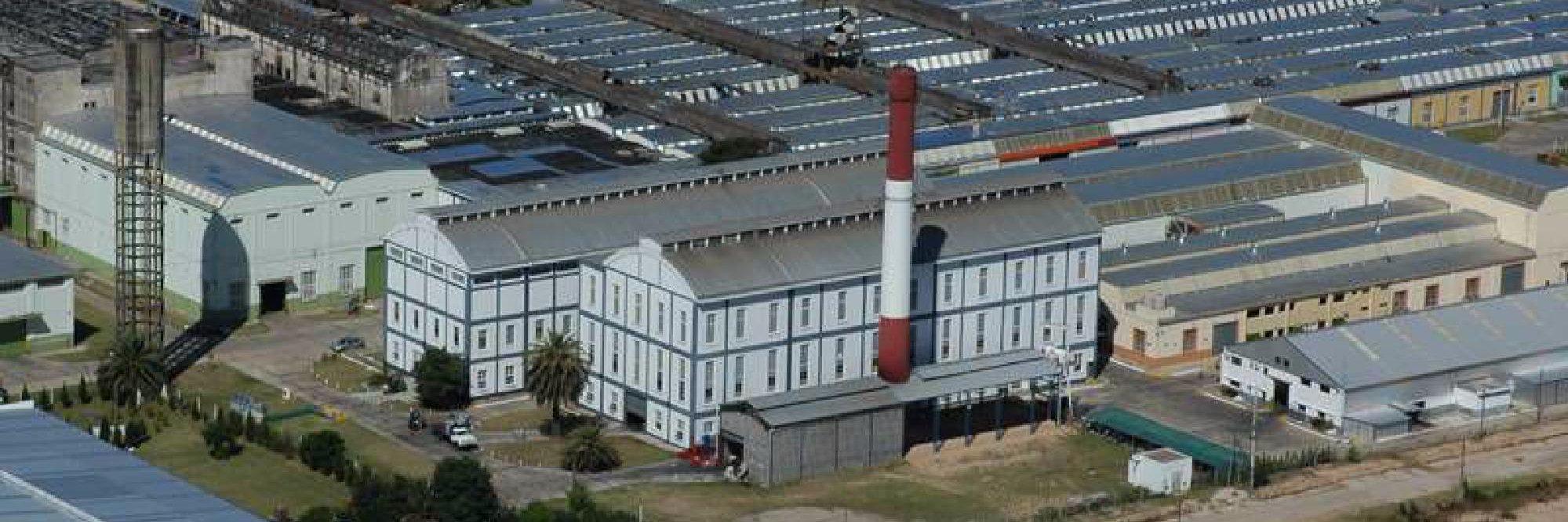 Daniel Rosato banner