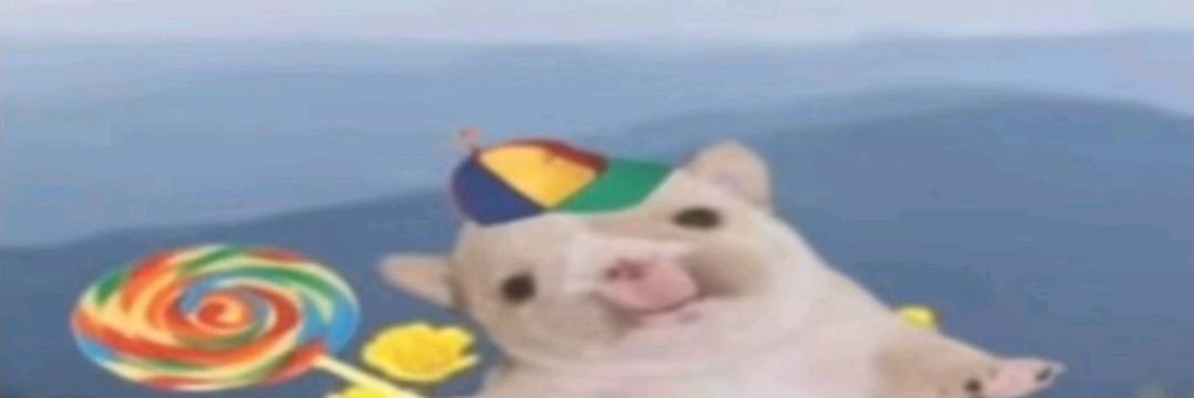 Mark wallrider banner