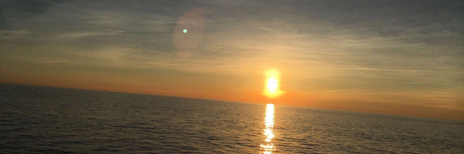 carleeBorassi's profile banner image