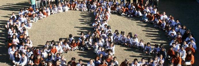 Lil Longhorn News banner