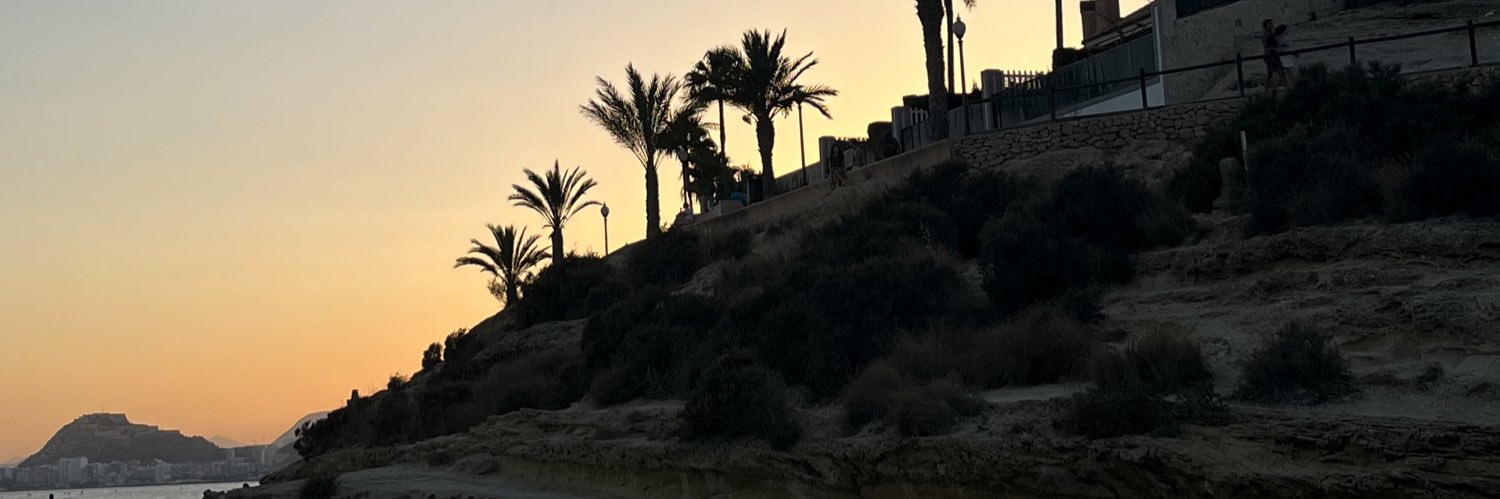 davidromerodz's profile banner image