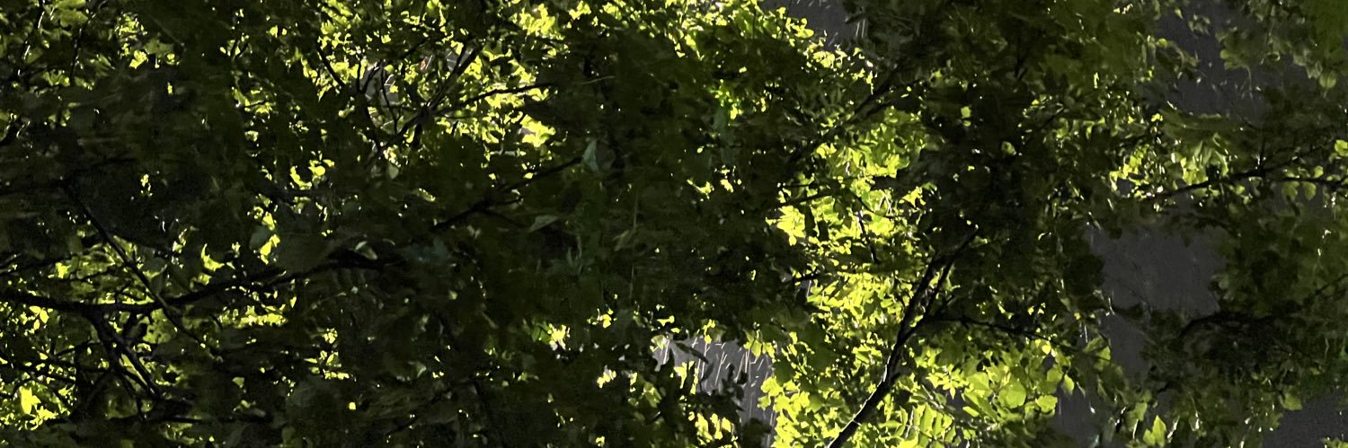 introoroutro's profile banner image