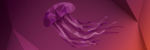 Ubuntu Desktop Profile Banner