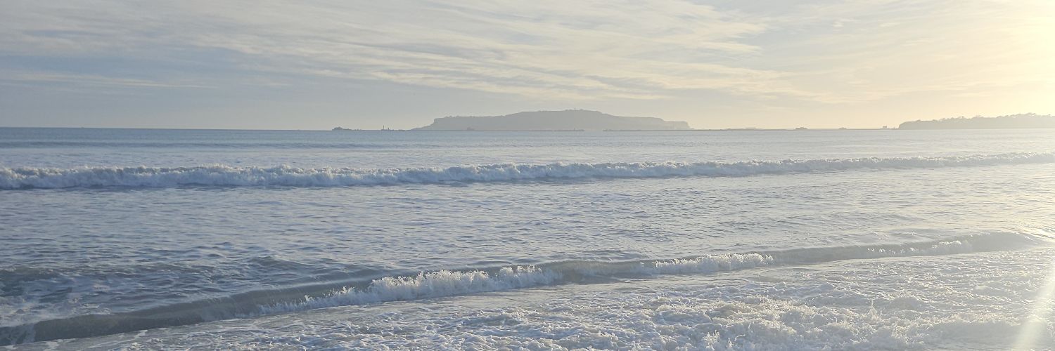 Springerfan (she/her)🇪🇺 banner