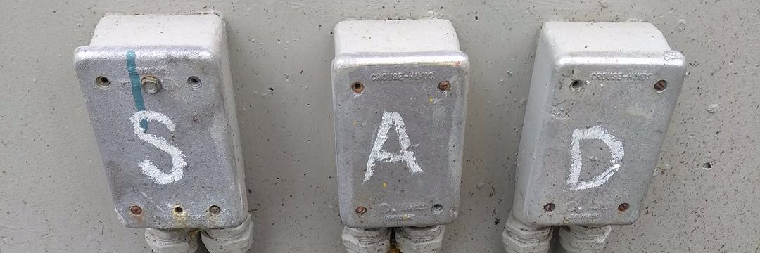 Leaf (they/them) banner