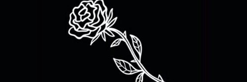 BrisaCardozo5's profile banner image