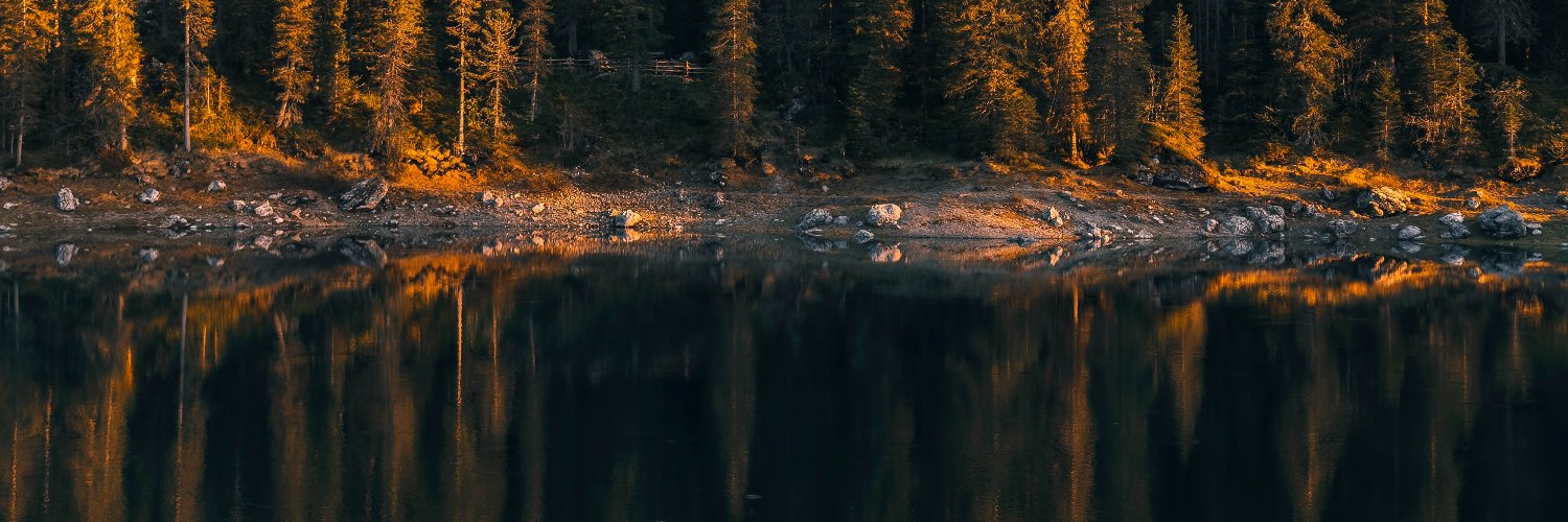 stycequence's profile banner image