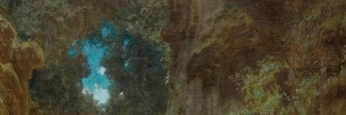 Neitherbird banner