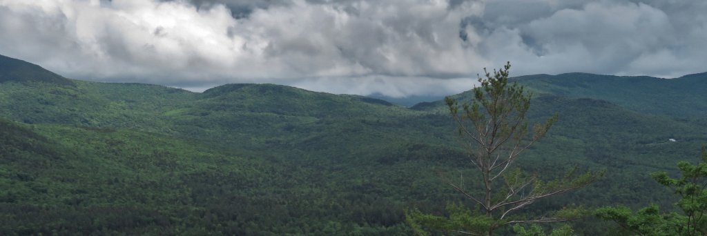 Jeremy Pardo banner