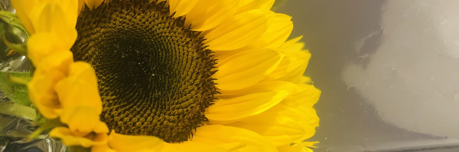 jessicacva's profile banner image