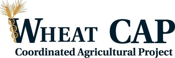 WheatCAP Profile Banner