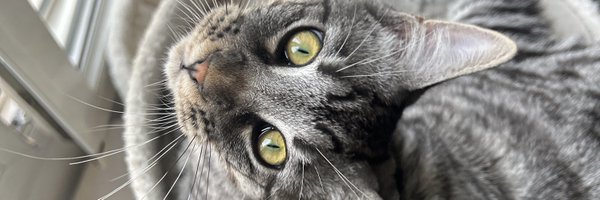 Rouumms Profile Banner