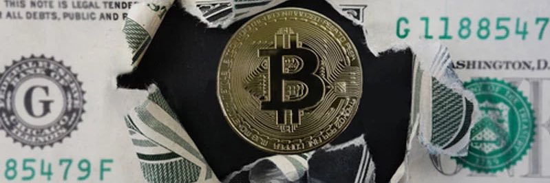 Crypto Hub banner