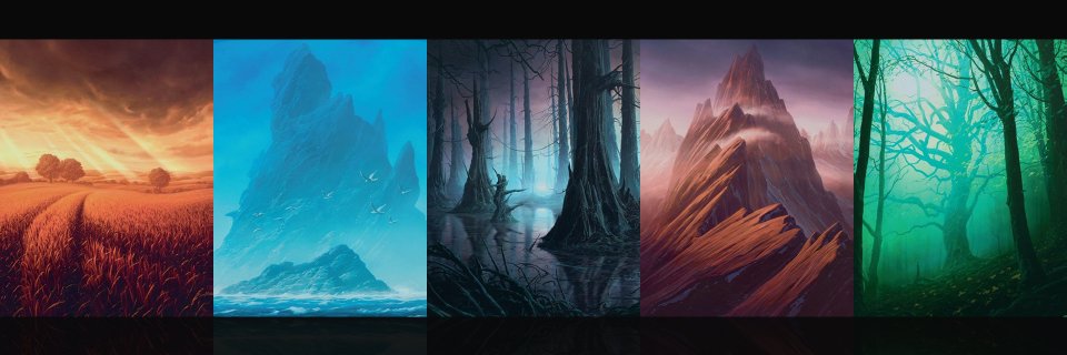 munocard's profile banner image
