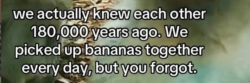 yang is at a very J3 time of yang’s life rn banner