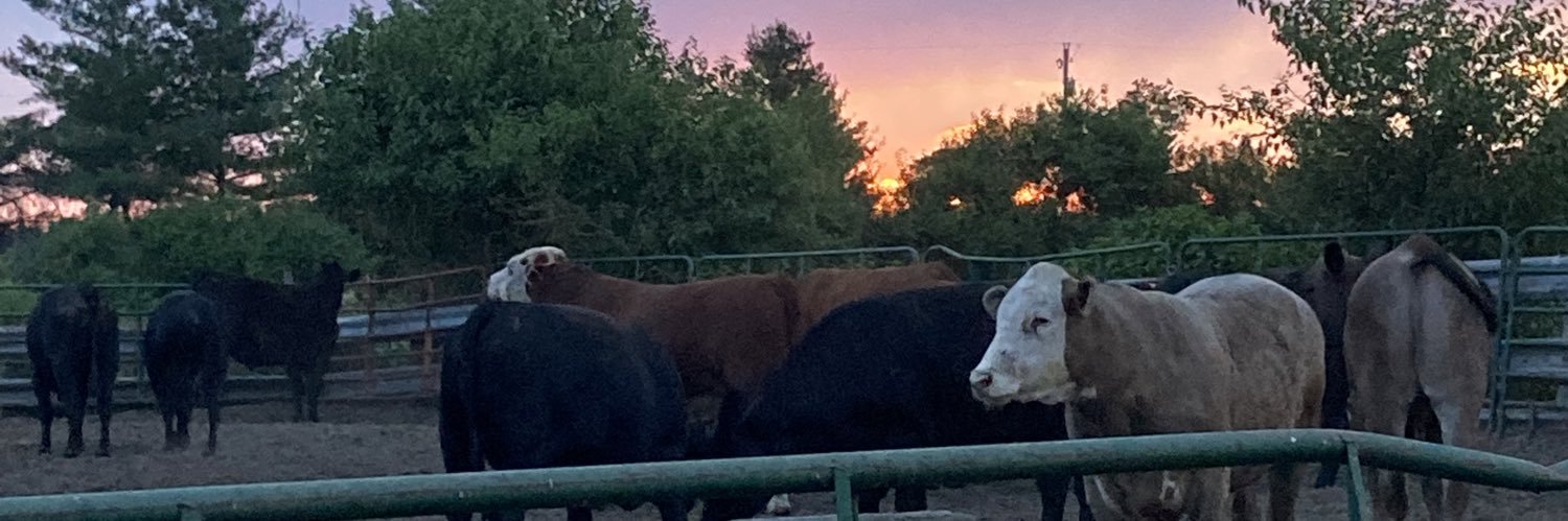 IowaHundy's profile banner image
