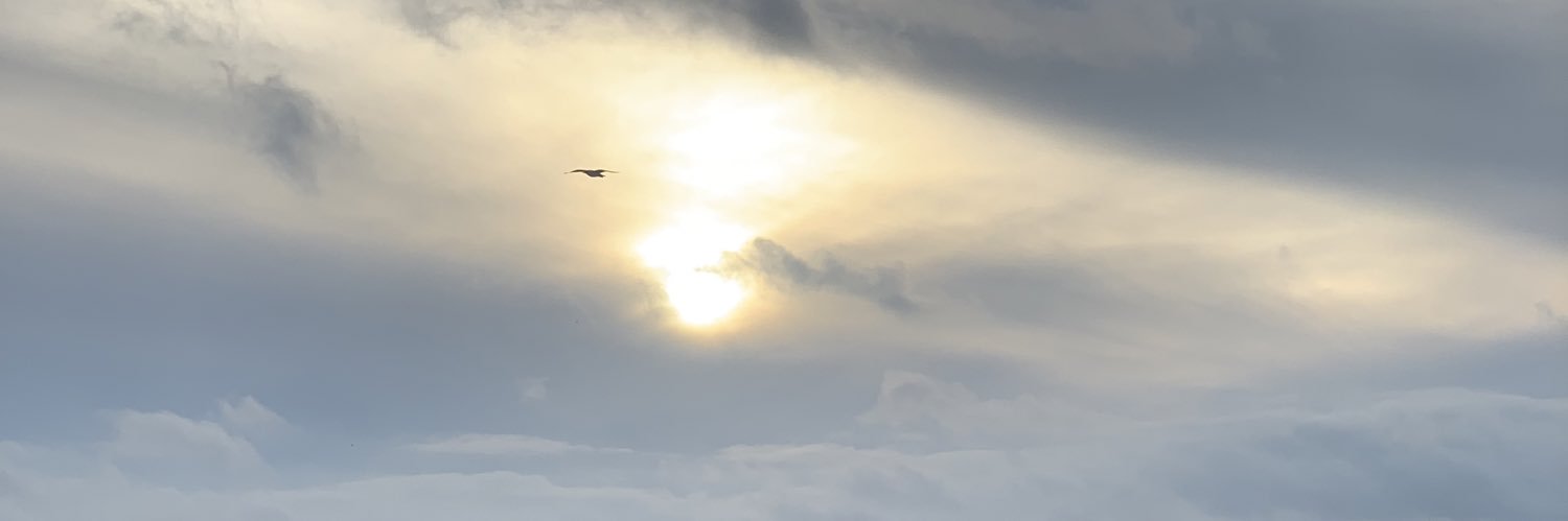 AN74142106's profile banner image